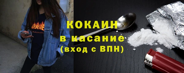 гашик Россошь