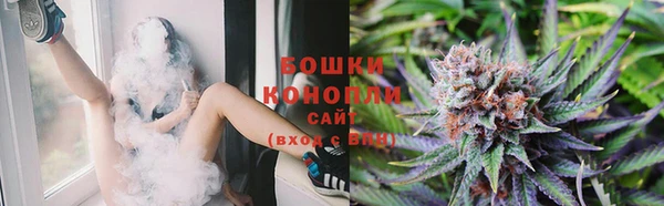 2c-b Рославль