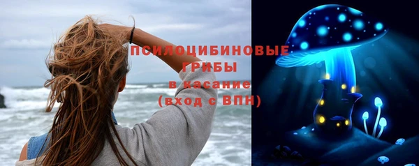 ECSTASY Абаза