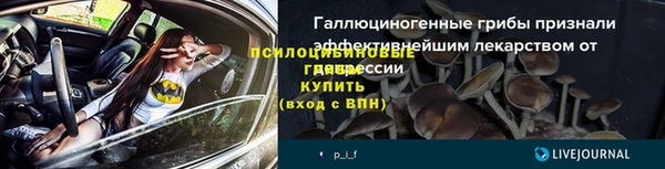 ECSTASY Абаза