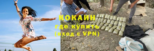 гашик Россошь
